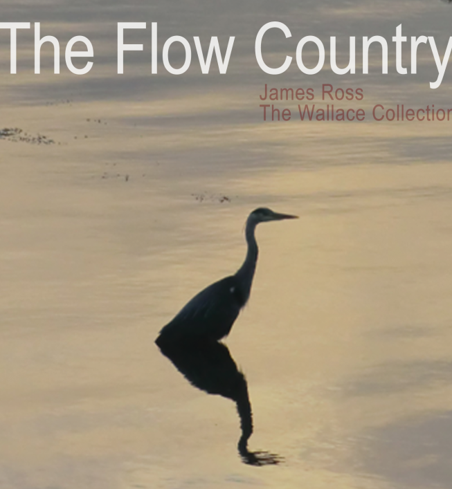 CD: The Flow Country